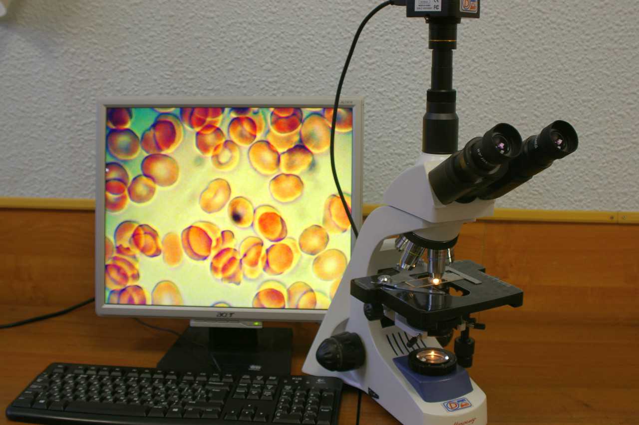 Где купить сканирующий микроскоп